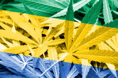 Gabon bayrak esrar arka plan üzerinde. Uyuşturucu politikası. Marihuana yasallaştırma