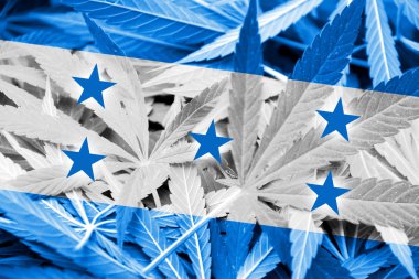 Honduras bayrağı esrar arka plan üzerinde. Uyuşturucu politikası. Marihuana yasallaştırma