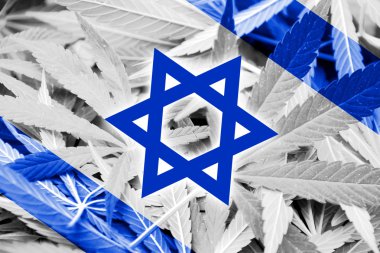 İsrail bayrağı esrar arka plan üzerinde. Uyuşturucu politikası. Marihuana yasallaştırma