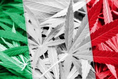 İtalya bayrağı esrar arka plan üzerinde. Uyuşturucu politikası. Marihuana yasallaştırma