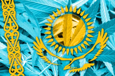 Kazakistan bayrağı esrar arka plan üzerinde. Uyuşturucu politikası. Marihuana yasallaştırma