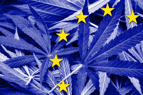 De vlag van de Europese Unie op cannabis achtergrond. Beleid van de drug. Legalisatie van marihuana — Stockfoto