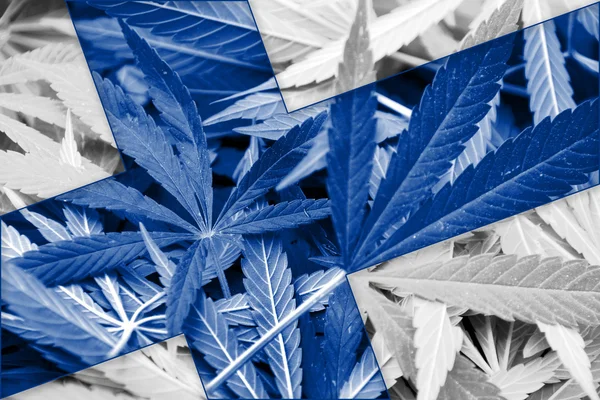 Finlands flagga på cannabis bakgrund. Narkotikapolitik. Legalisering av marijuana — Stockfoto