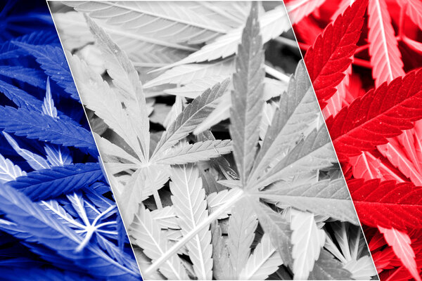 France Flag on cannabis background. Drug policy. Legalization of marijuana