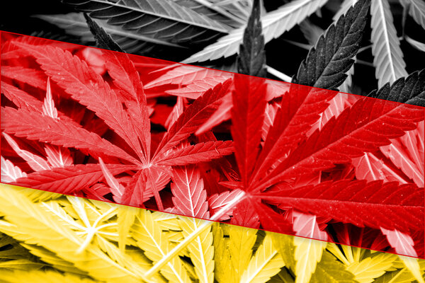 Germany Flag on cannabis background. Drug policy. Legalization of marijuana