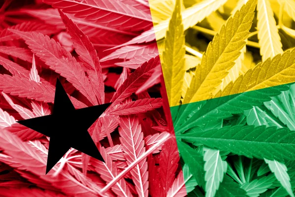 Guinea Bissau Bandiera su sfondo cannabis. Politica sulle droghe. Legalizzazione della marijuana — Foto Stock