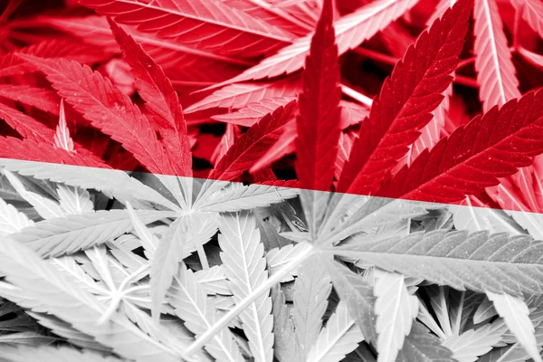 大麻の背景にインドネシアの国旗。薬物政策。マリファナの合法化 — ストック写真