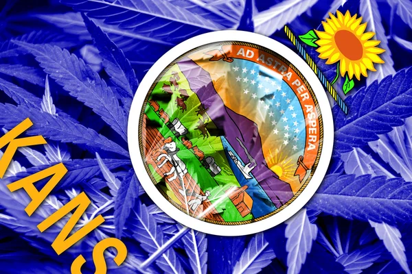 De vlag van Kansas op cannabis achtergrond. Beleid van de drug. Legalisatie van marihuana — Stockfoto