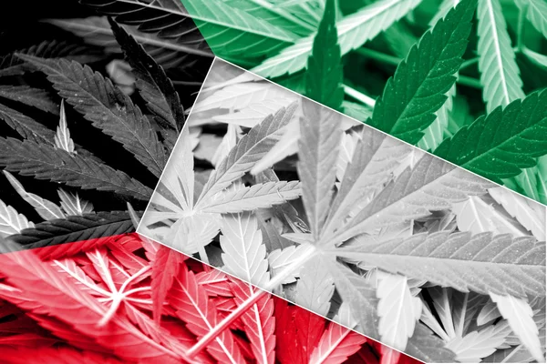 Kuwait Flagge auf Cannabis Hintergrund. Drogenpolitik. Legalisierung von Marihuana — Stockfoto