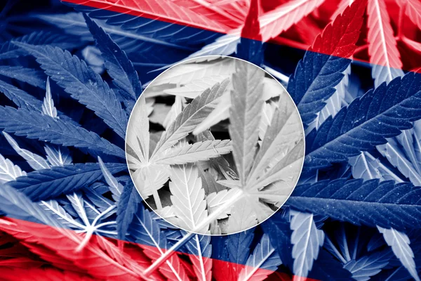 大麻の背景にラオスの旗。薬物政策。マリファナの合法化 — ストック写真