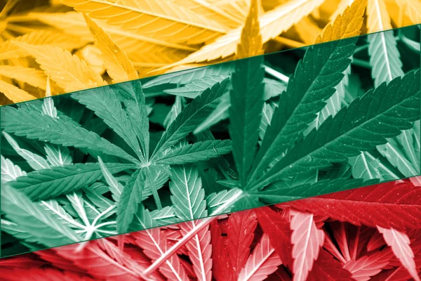 Σημαία της Λιθουανίας σε φόντο κάνναβης. Πολιτικής για τα ναρκωτικά. Νομιμοποίηση της μαριχουάνας — Φωτογραφία Αρχείου
