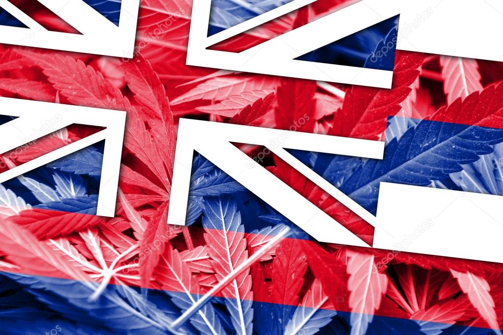 Hawaii Stae Flag on cannabis background. Drug policy. Legalization of marijuana
