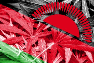 Malavi bayrak esrar arka plan üzerinde. Uyuşturucu politikası. Marihuana yasallaştırma
