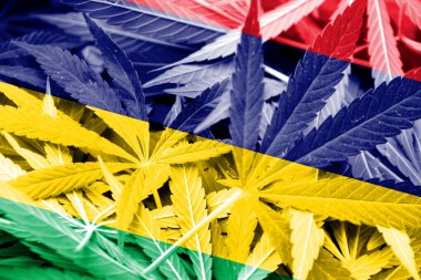 Mauritius bayrak esrar arka plan üzerinde. Uyuşturucu politikası. Marihuana yasallaştırma
