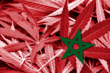 Morocco Flag on cannabis background. Drug policy. Legalization of marijuana clipart