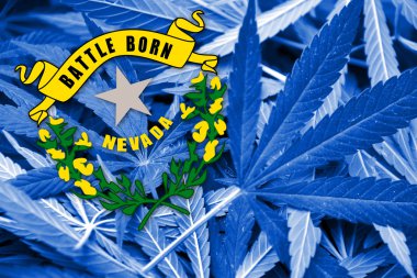 Nevada Devlet bayrağı esrar arka plan üzerinde. Uyuşturucu politikası. Marihuana yasallaştırma