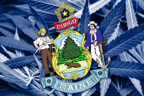 Bandiera dello Stato del Maine su sfondo cannabis. Politica sulle droghe. Legalizzazione della marijuana — Foto Stock