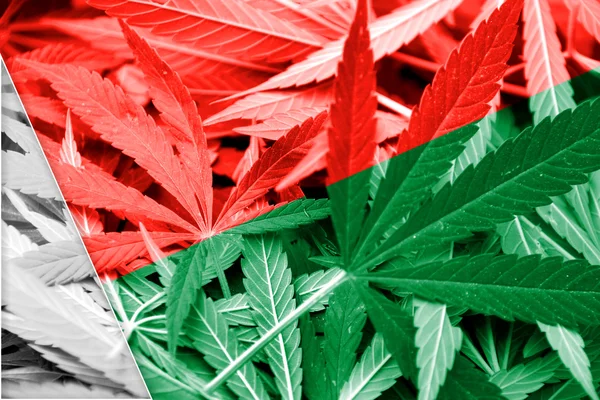 Madagaskar-Fahne auf Cannabis-Hintergrund. Drogenpolitik. Legalisierung von Marihuana — Stockfoto
