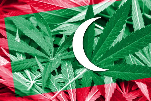 Maldives Flag on cannabis background. Drug policy. Legalization of marijuana — Stock Photo, Image