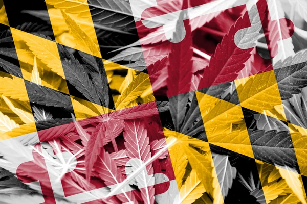 Maryland State Flag on cannabis background. Drug policy. Legalization of marijuana — Stock Photo, Image