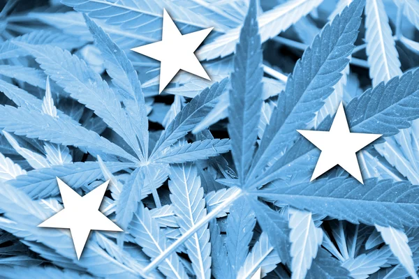 De vlag van Micronesia op cannabis achtergrond. Beleid van de drug. Legalisatie van marihuana — Stockfoto