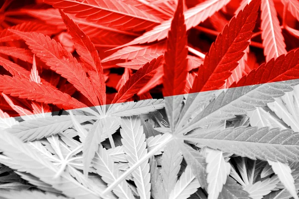 Bandera de Mónaco sobre fondo de cannabis. Política de drogas. Legalización de la marihuana — Foto de Stock