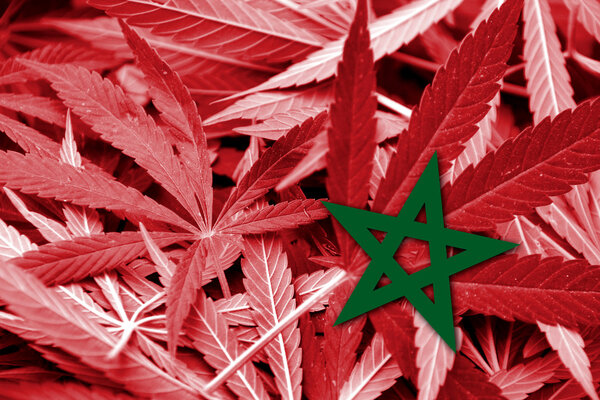 Morocco Flag on cannabis background. Drug policy. Legalization of marijuana