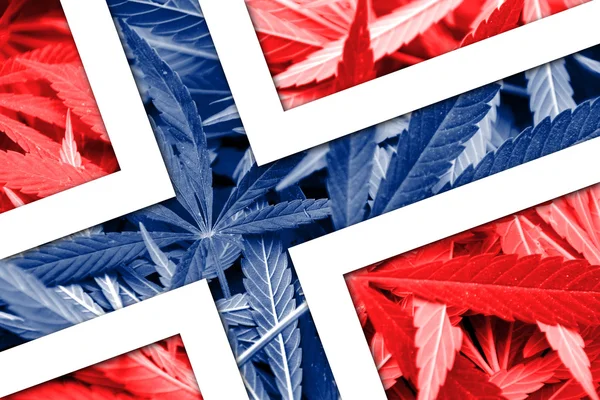 Bandeira da Noruega sobre fundo de cannabis. Política de drogas. Legalização da maconha — Fotografia de Stock