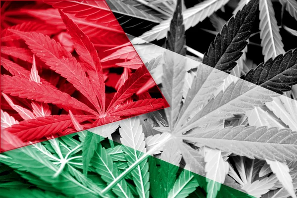 Bandiera Palestinese su sfondo cannabis. Politica sulle droghe. Legalizzazione della marijuana — Foto Stock