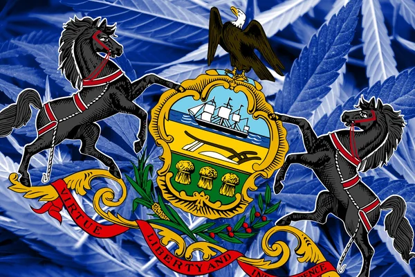 Pennsylvania State Flag su sfondo cannabis. Politica sulle droghe. Legalizzazione della marijuana — Foto Stock