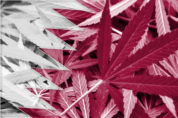 Qatar Flag on cannabis background. Drug policy. Legalization of marijuana — Stock Photo, Image