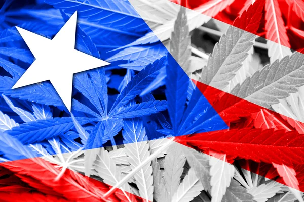 Puerto Rico Flag on cannabis background. Drug policy. Legalization of marijuana — Stock Photo, Image