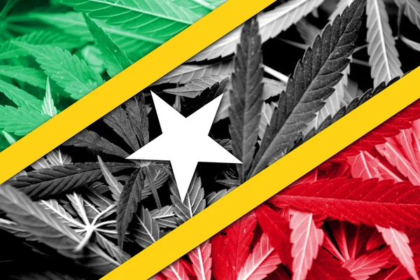 Σαιντ Κιτς και Νέβις σημαία σε φόντο κάνναβης. Πολιτικής για τα ναρκωτικά. Νομιμοποίηση της μαριχουάνας — Φωτογραφία Αρχείου