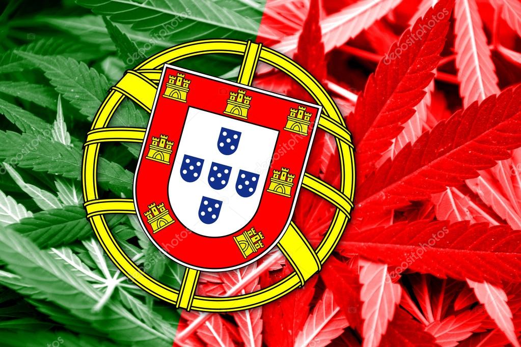 Португалии марихуана как выглядят бошки у конопли
