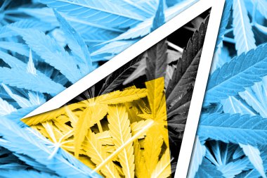 Saint Lucia bayrak esrar arka plan üzerinde. Uyuşturucu politikası. Marihuana yasallaştırma