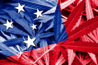 Bağımsız Samoa Devleti bayrağı esrar arka plan üzerinde. Uyuşturucu politikası. Marihuana yasallaştırma