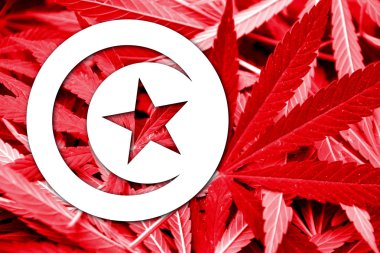 Tunus bayrağı esrar arka plan üzerinde. Uyuşturucu politikası. Marihuana yasallaştırma