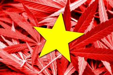 Vietnam bayrağı esrar arka plan üzerinde. Uyuşturucu politikası. Marihuana yasallaştırma