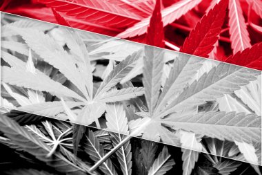 Yemen bayrak esrar arka plan üzerinde. Uyuşturucu politikası. Marihuana yasallaştırma