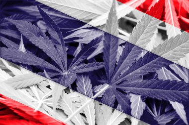 Tayland bayrağı esrar arka plan üzerinde. Uyuşturucu politikası. Marihuana yasallaştırma