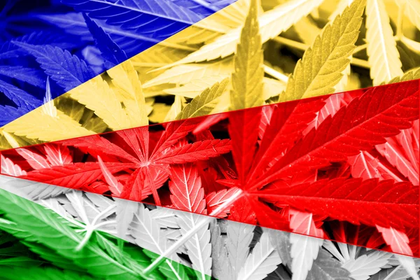 Seychelles Bandiera su sfondo cannabis. Politica sulle droghe. Legalizzazione della marijuana — Foto Stock