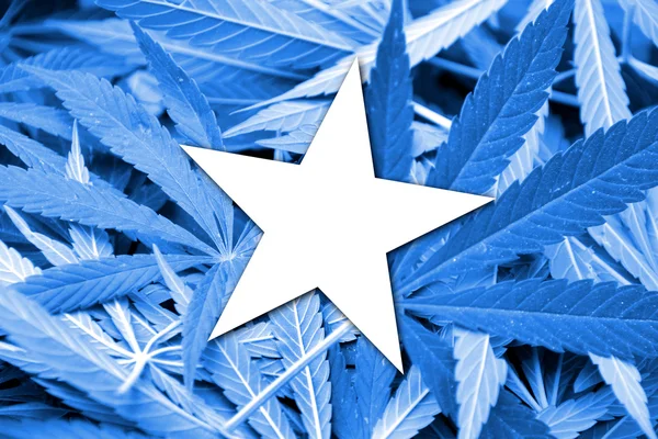 De vlag van Somalië op cannabis achtergrond. Beleid van de drug. Legalisatie van marihuana — Stockfoto