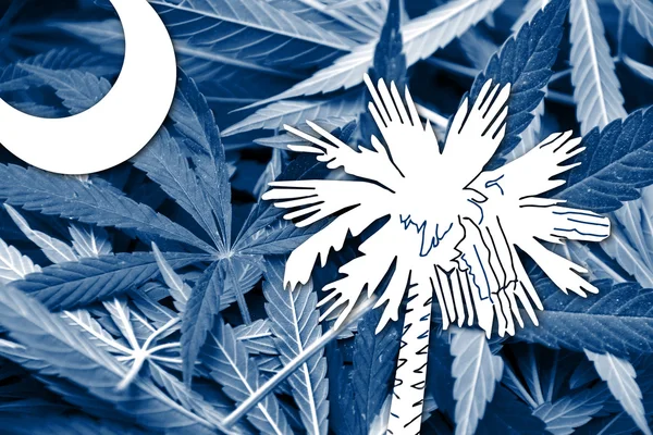 Vlag van South Carolina op cannabis achtergrond. Beleid van de drug. Legalisatie van marihuana — Stockfoto