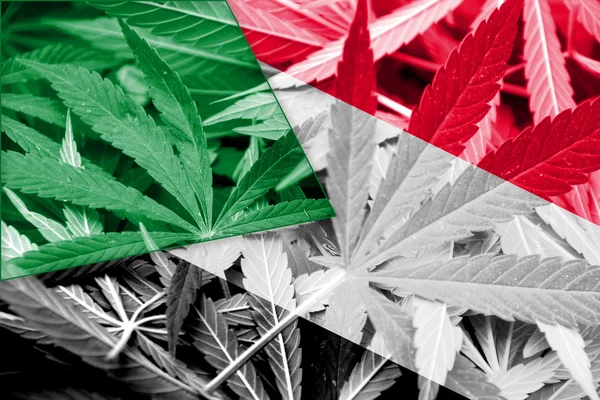 Sudan Flag on cannabis background. Drug policy. Legalization of marijuana — Stock Photo, Image
