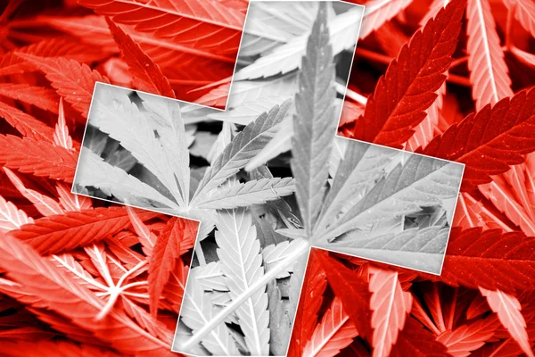 De vlag van Zwitserland op cannabis achtergrond. Beleid van de drug. Legalisatie van marihuana — Stockfoto