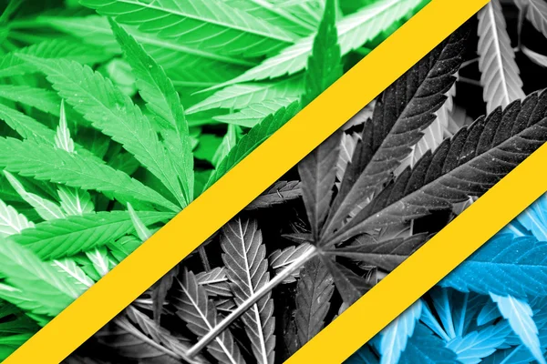 Tanzania Bandiera su sfondo cannabis. Politica sulle droghe. Legalizzazione della marijuana — Foto Stock