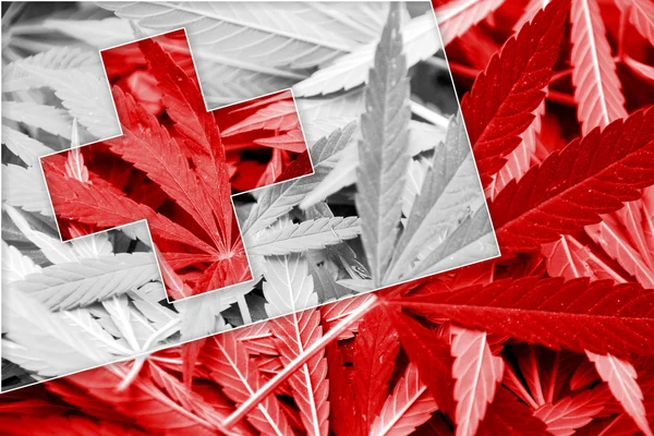 De vlag van Tonga op cannabis achtergrond. Beleid van de drug. Legalisatie van marihuana — Stockfoto