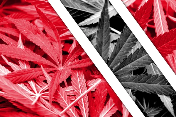 Trinidad en Tobago vlag op cannabis achtergrond. Beleid van de drug. Legalisatie van marihuana — Stockfoto