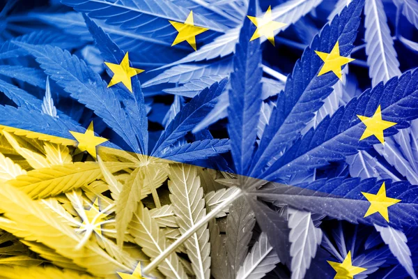 Ukrajna és az Eu-zászló a kannabisz háttér. A kábítószer-politika. A marihuána legalizálása — Stock Fotó
