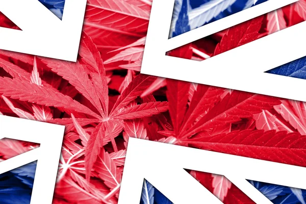 Velká Británie vlajka v pozadí konopí. Protidrogová politika. Legalizace marihuany — Stock fotografie